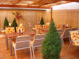 Dřevěná terasa modřín